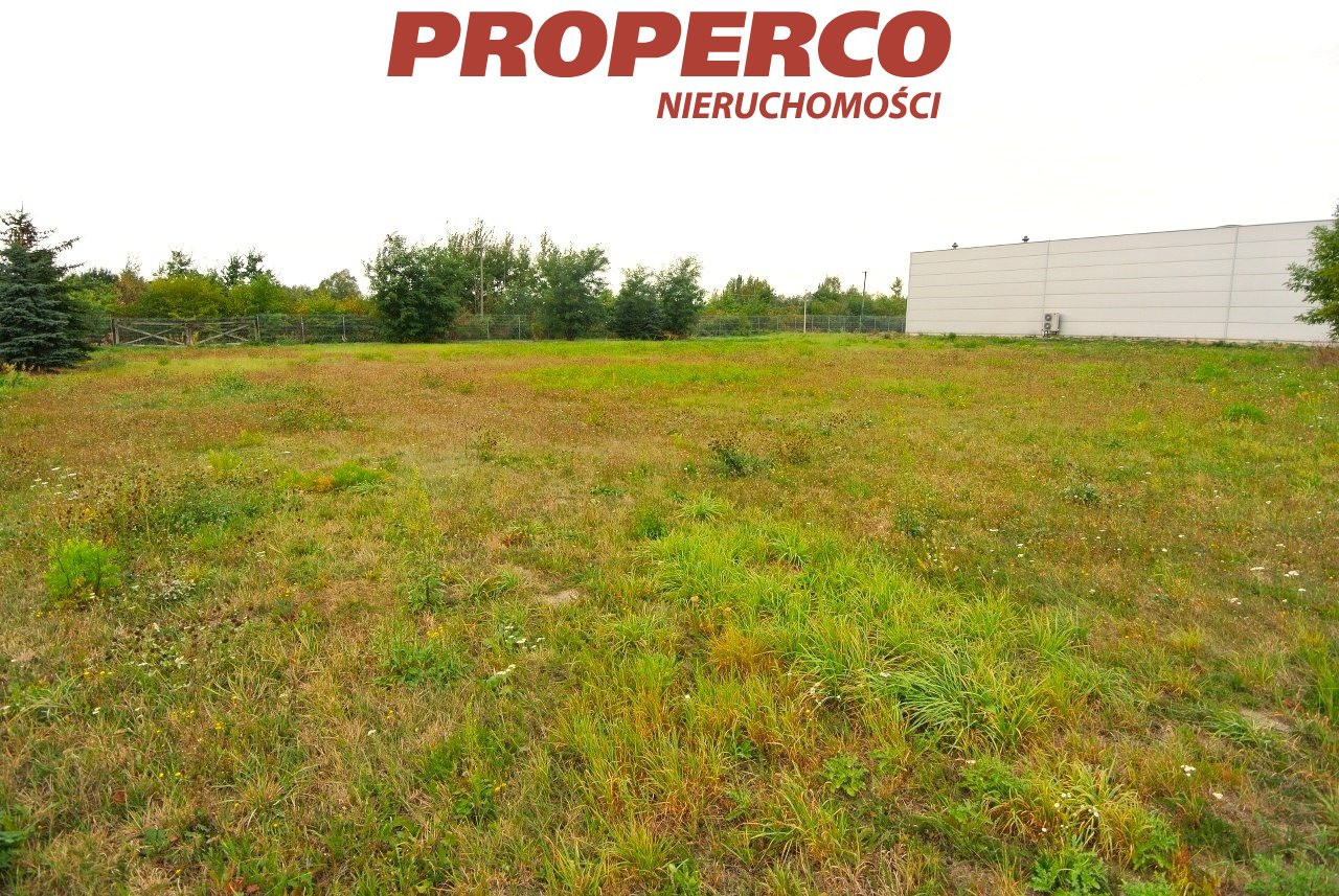 Pozemek, 6000 m²
