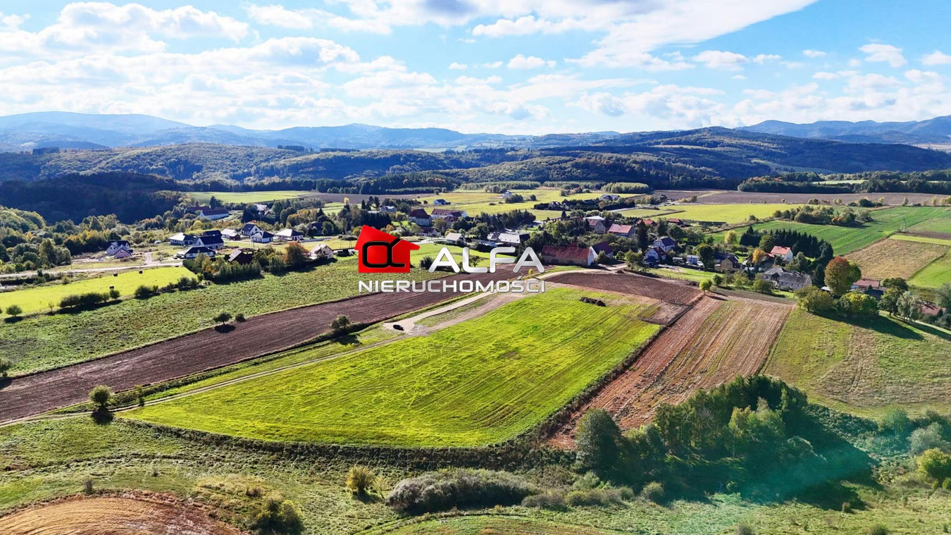 gratka-78019 - Widok 5
