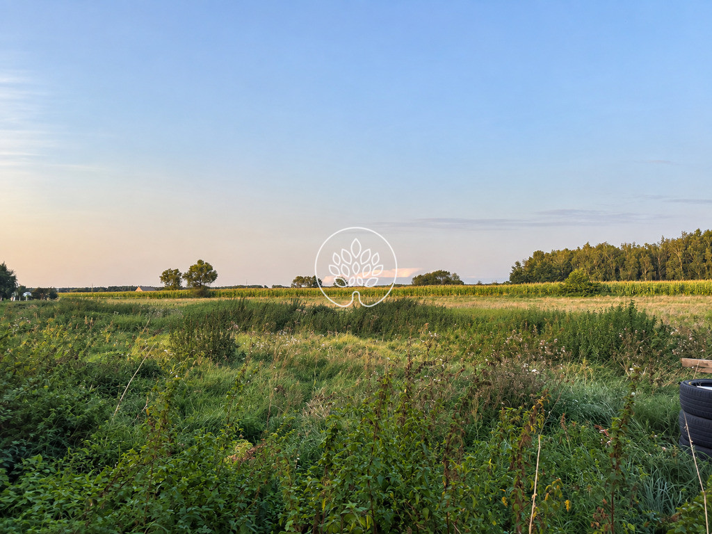 Działka budowlana 1123 m² – Kruszyn Krajeński - Widok 5