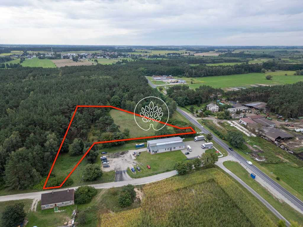 Działki inwestycyjne 11 900+ m² | Kowalewo, Szubin - Widok 2