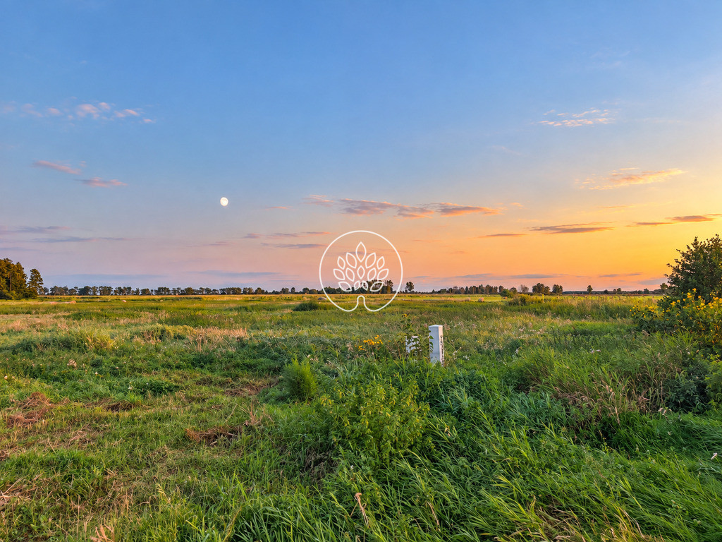Działka budowlana 1177 m² – Kruszyn Krajeński - Widok 4