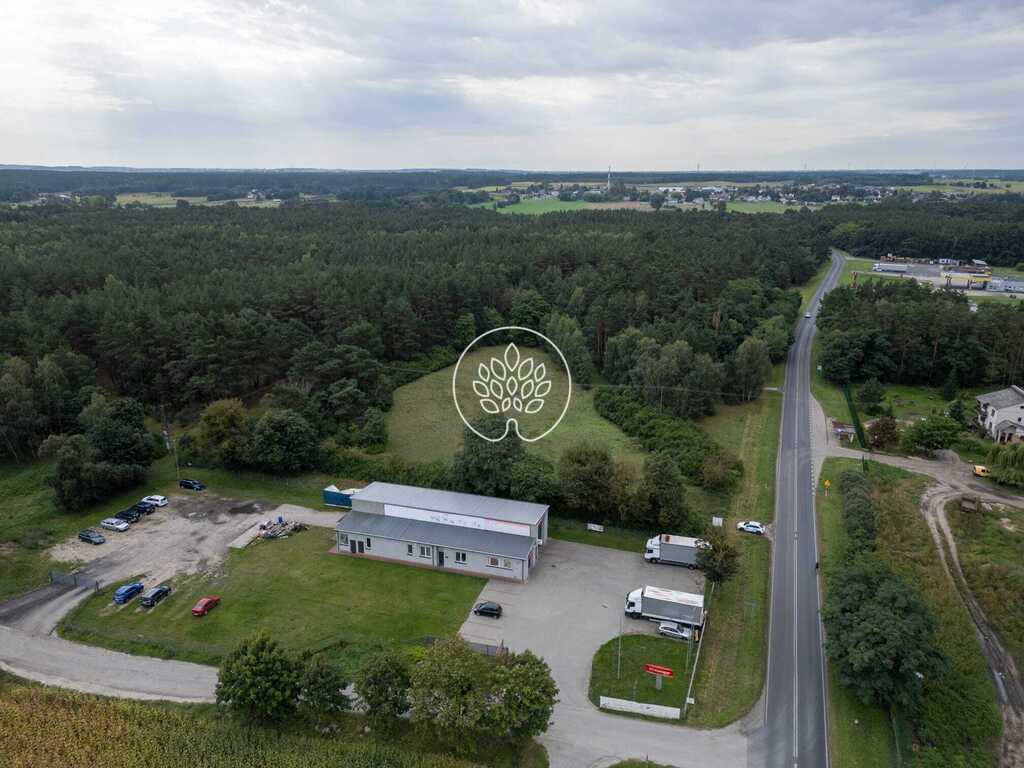 Działki inwestycyjne 11 900+ m² | Kowalewo, Szubin - Widok 4