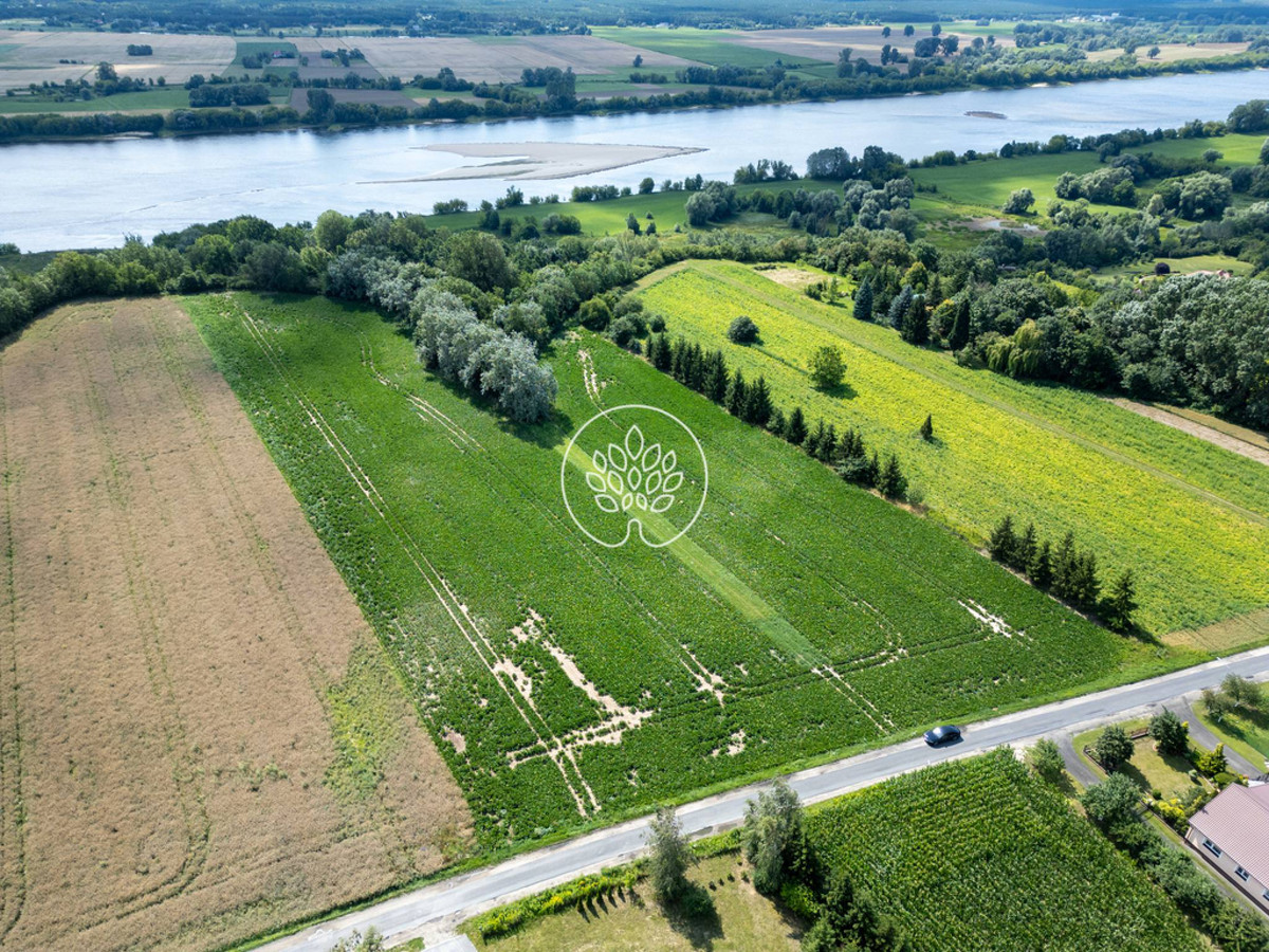 1,75 ha | WZ na 6 domów | 15 min od Bydgoszczy - Widok 4