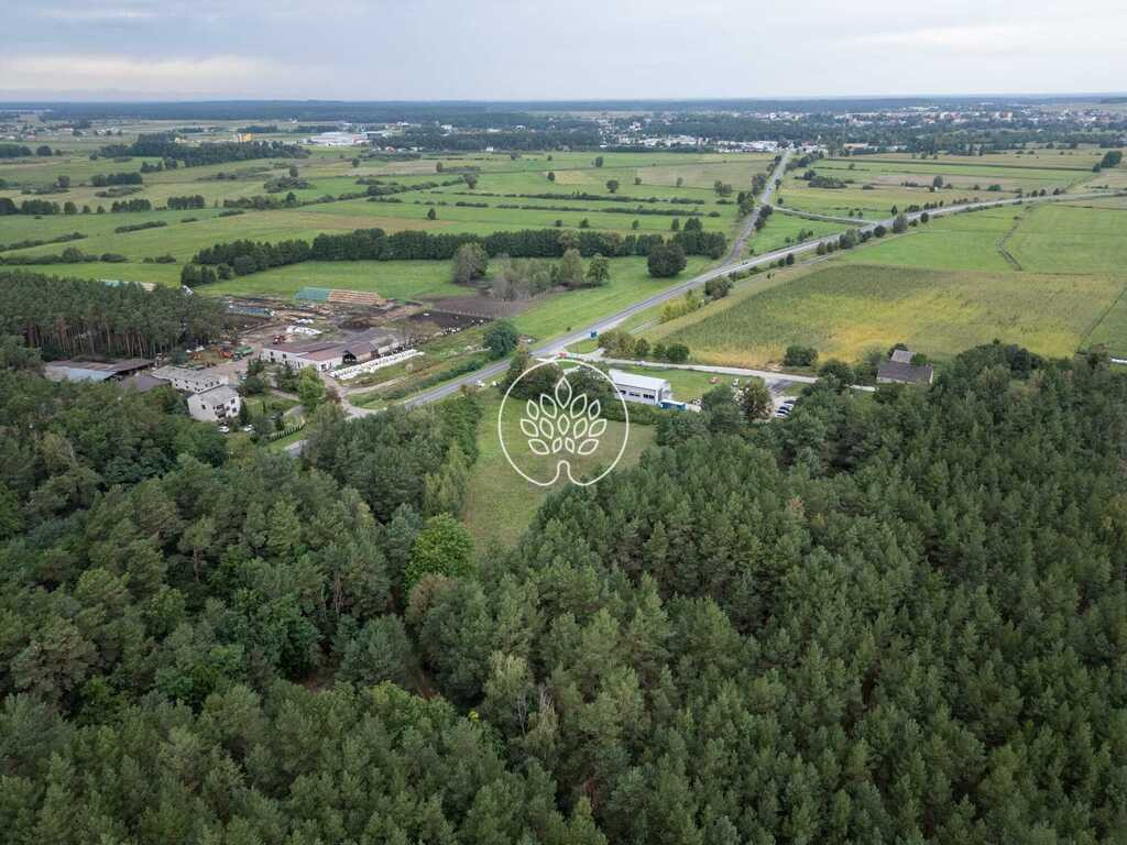Działki inwestycyjne 11 900+ m² | Kowalewo, Szubin - Widok 3