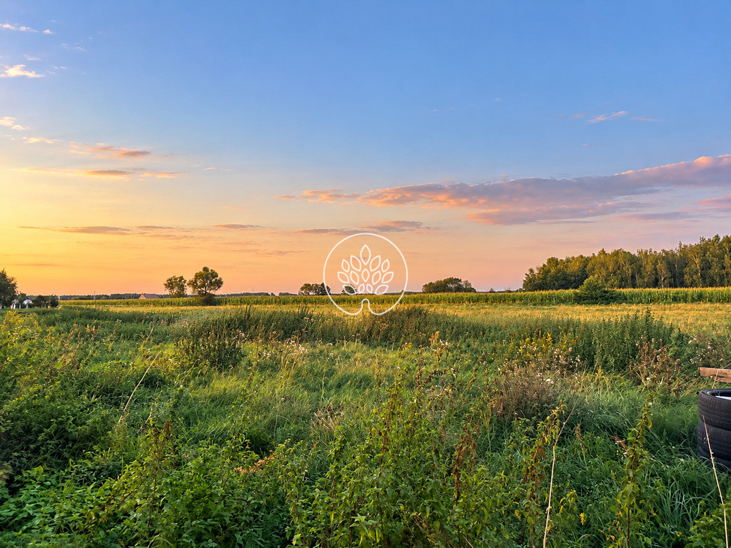 Działka budowlana 1123 m² – Kruszyn Krajeński - Widok 3
