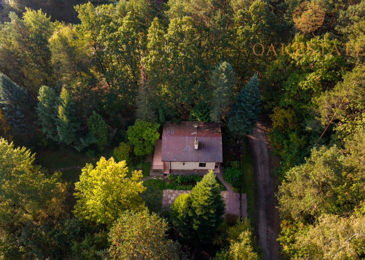 Dom – Daleszyce, Komórki - Widok 3