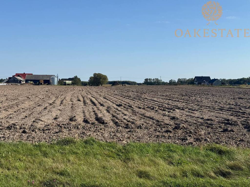 Żarczyce Małe, działka 1,11 ha siedliskowo-rolna - Widok 5
