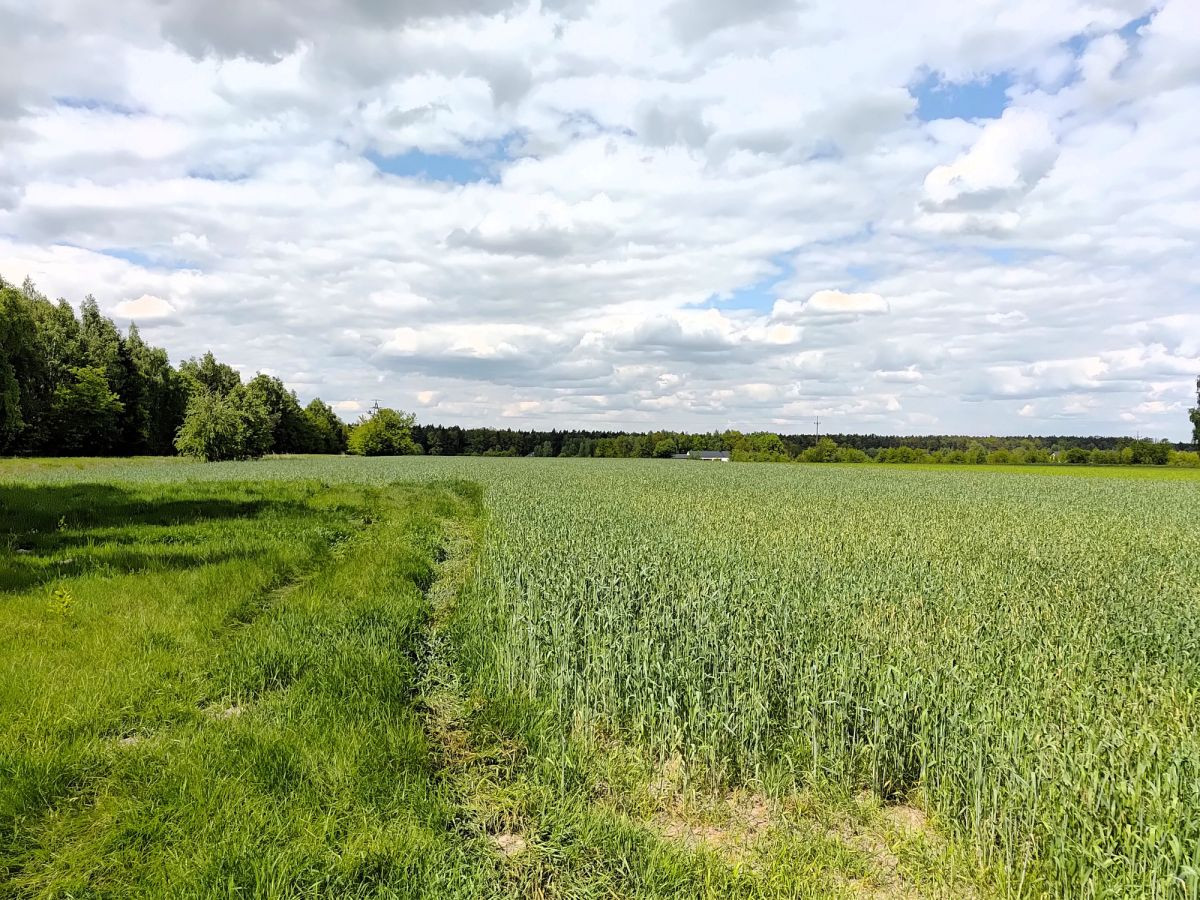 Działka z MPZP pod zabudowę jednorodzinną - Widok 3