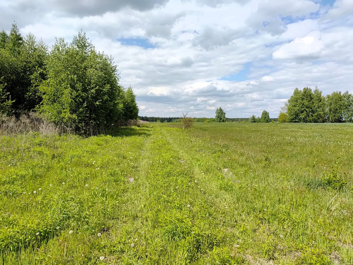 Działka z MPZP pod zabudowę jednorodzinną - Widok 4