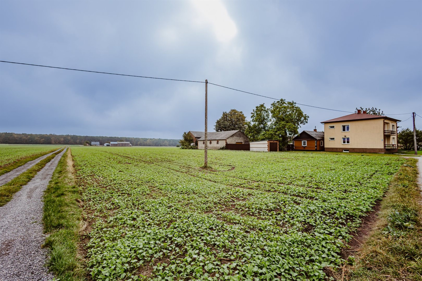 Działka 10,8 ar, blisko lasu, Osmolice Kol - Widok 2
