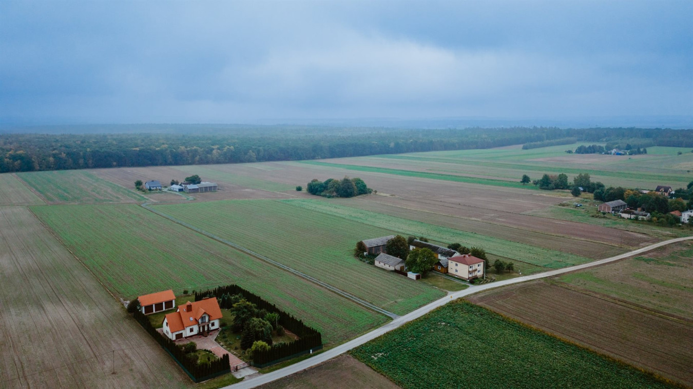 Działka 10,8 ar, blisko lasu, Osmolice Kol - Widok 5