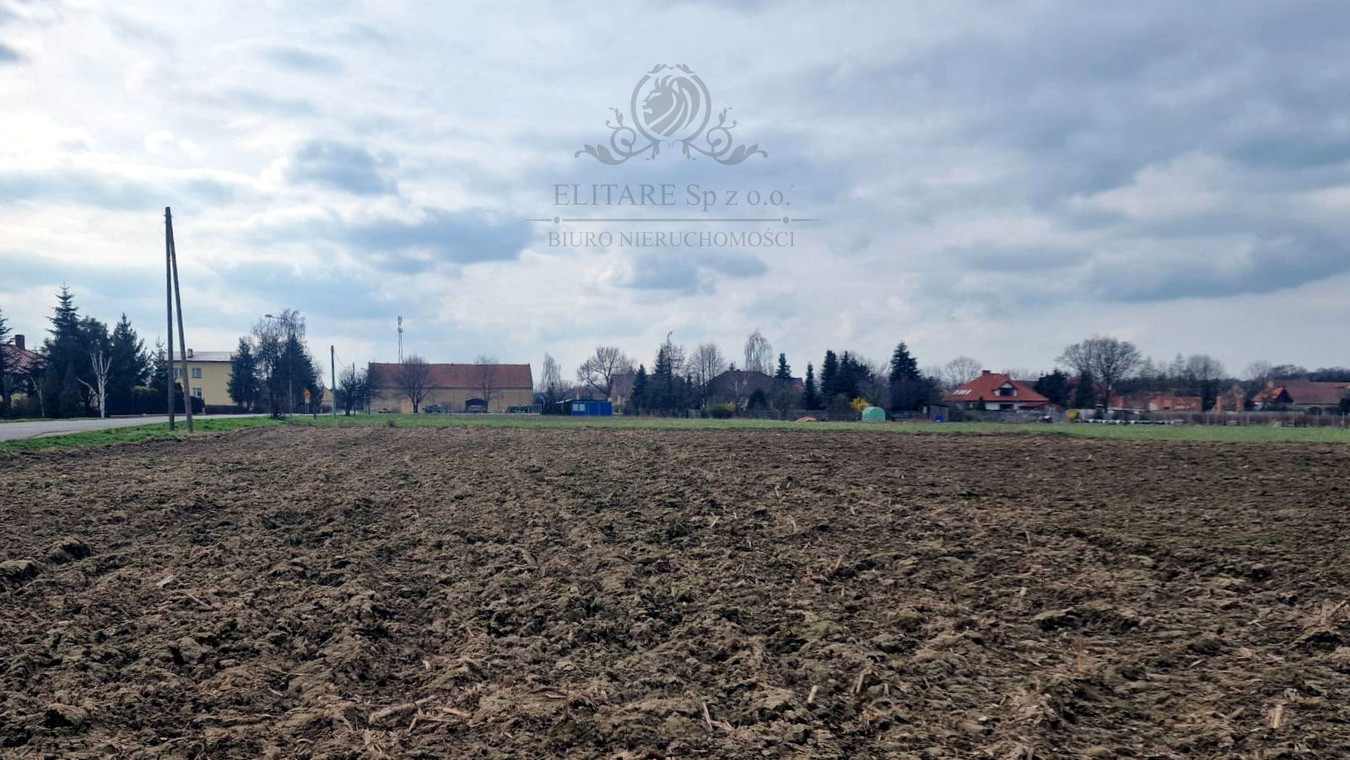 Działka siedliskowa 3000 m² z MPZP gm. Kąty Wrocławskie, Sokolniki - Widok 5