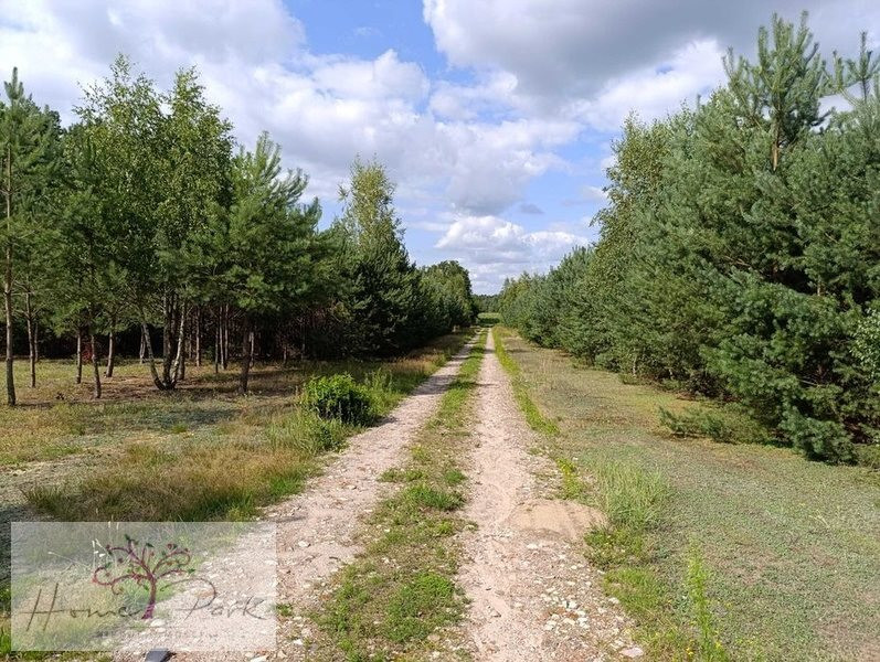 Działka budowla | 1044 m² | Ludowinka - Widok 3