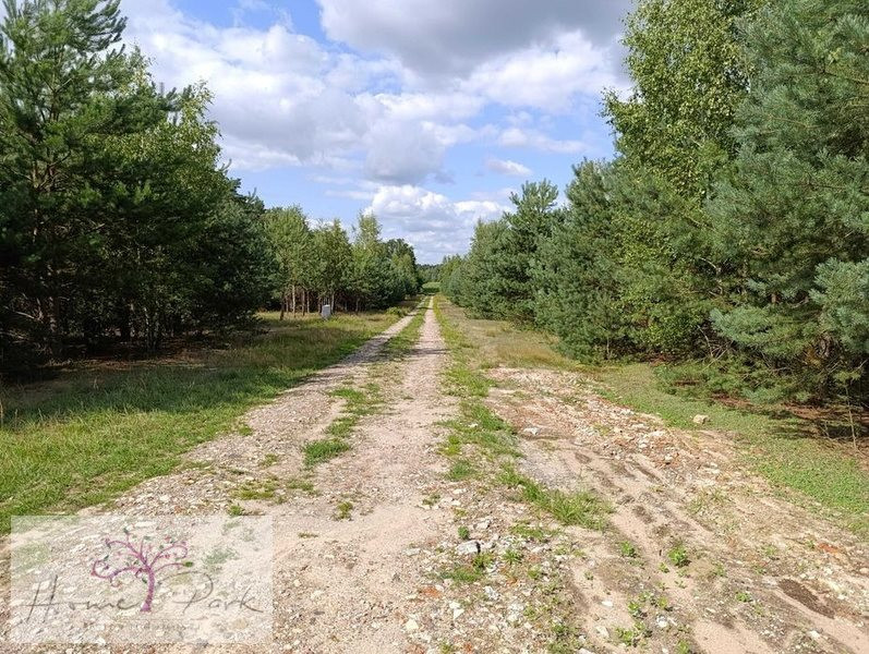 Działka budowla | 1044 m² | Ludowinka - Widok 4