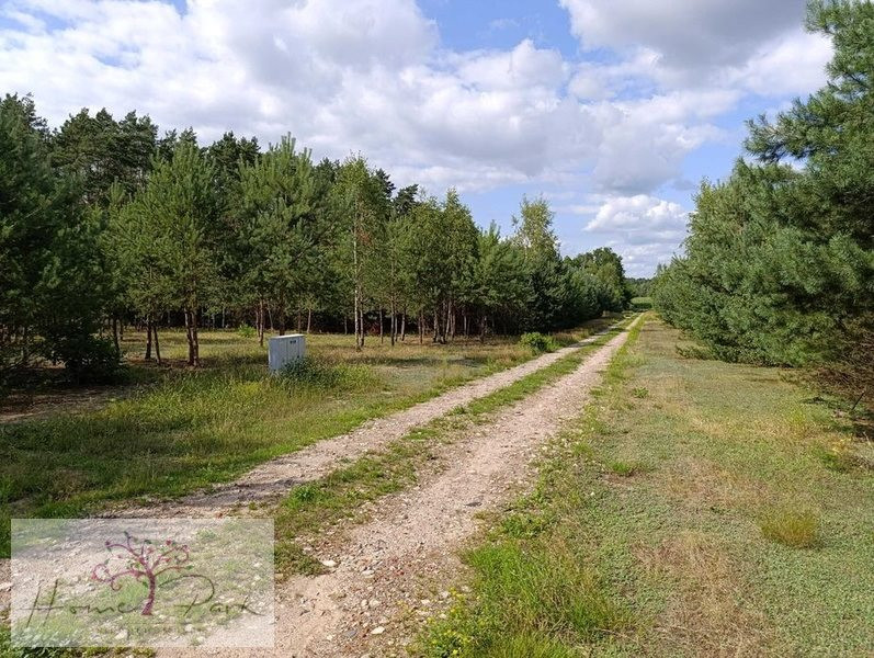Działka budowla | 1044 m² | Ludowinka - Widok 6