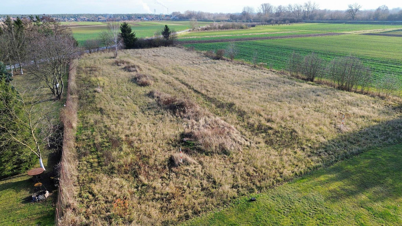 Budowlana działka w Gołębiu - Widok 3