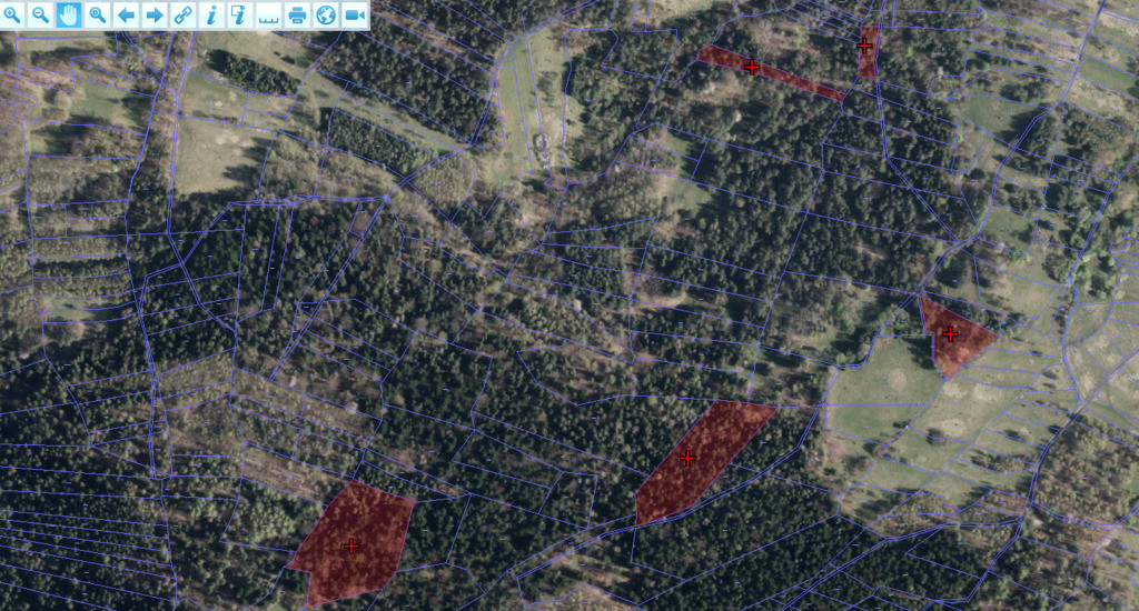 Działki leśne o powierzchni 2,18 ha - Widok 4