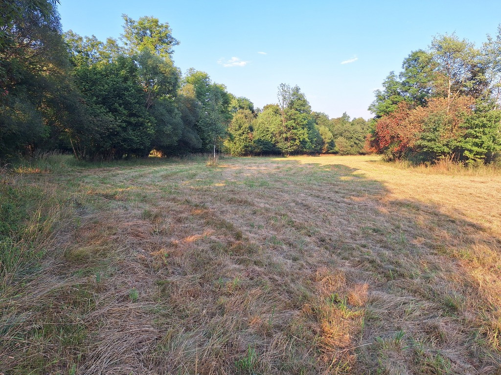 1950 m² działki w otoczeniu natury – Stryszawa - Widok 5