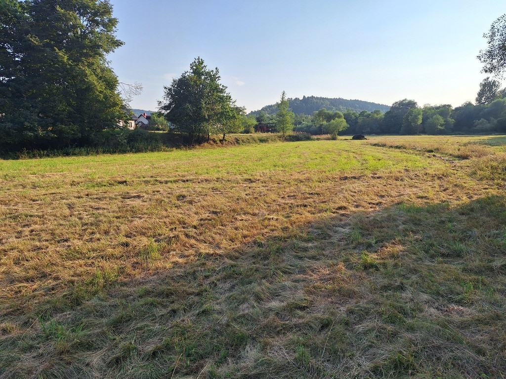 1950 m² działki w otoczeniu natury – Stryszawa - Widok 3