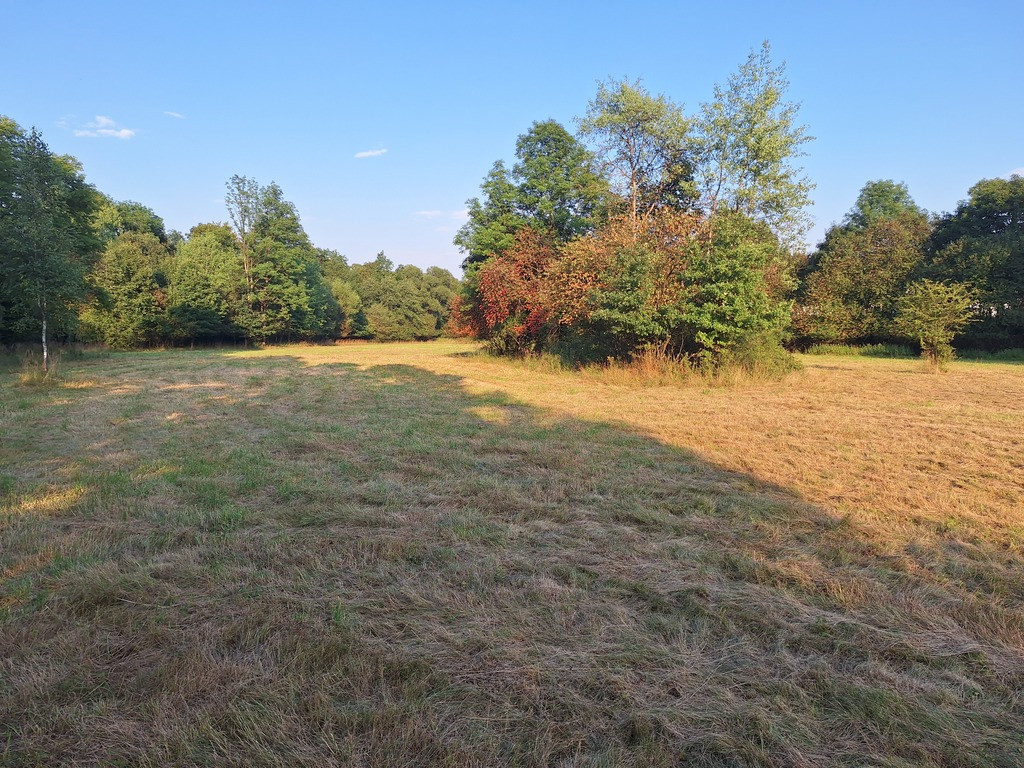 1950 m² działki w otoczeniu natury – Stryszawa - Widok 4
