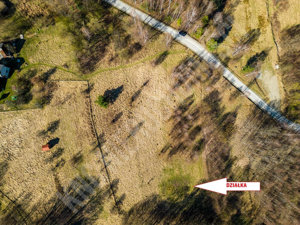 Działka budowlana w sąsiedztwie lasu - Widok 3