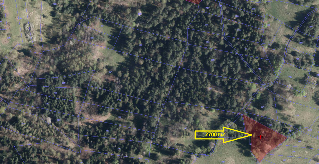 Działki leśne o powierzchni 2,18 ha - Widok 2