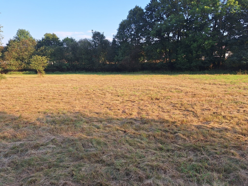 1950 m² działki w otoczeniu natury – Stryszawa - Widok 2