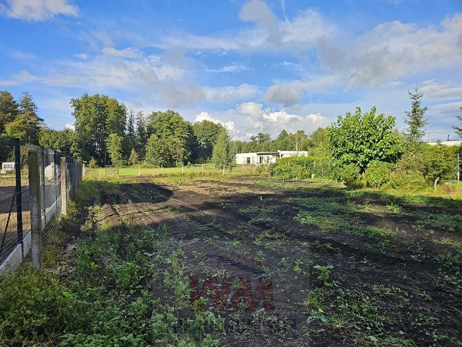 gratka-324/454/OGS - Widok 2