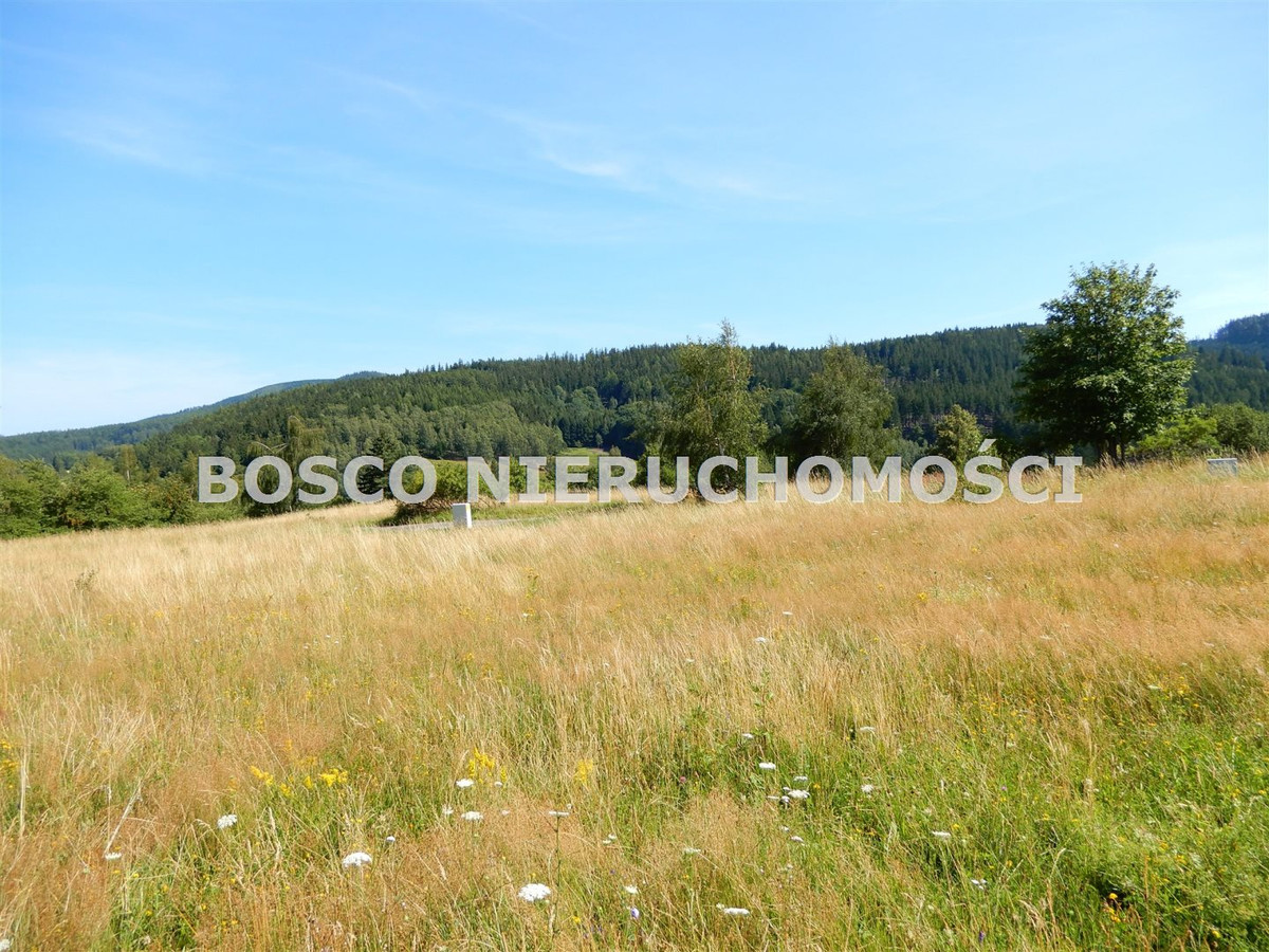gratka-BOS-GS-5674 - Widok 5