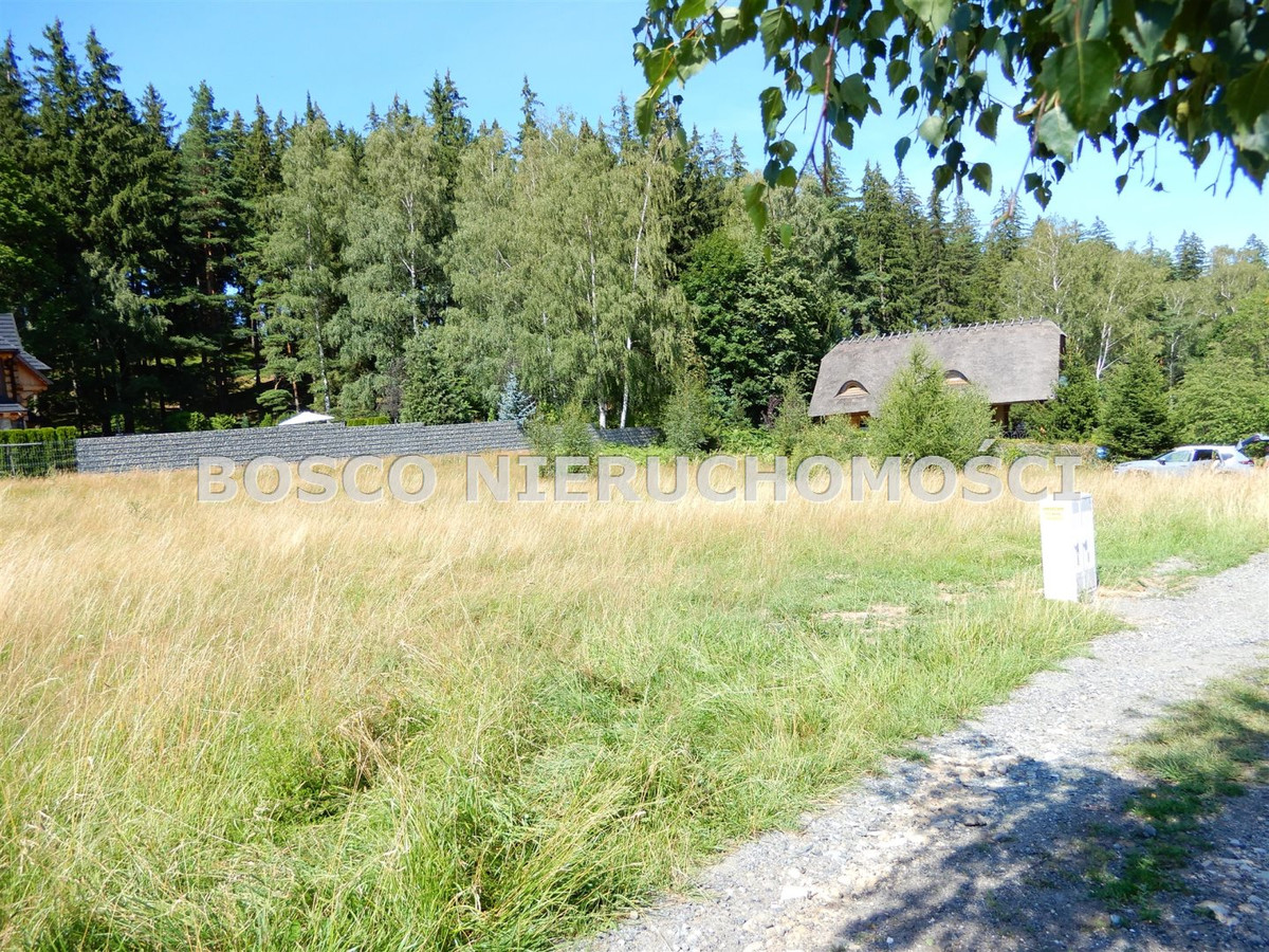 gratka-BOS-GS-5674 - Więcej