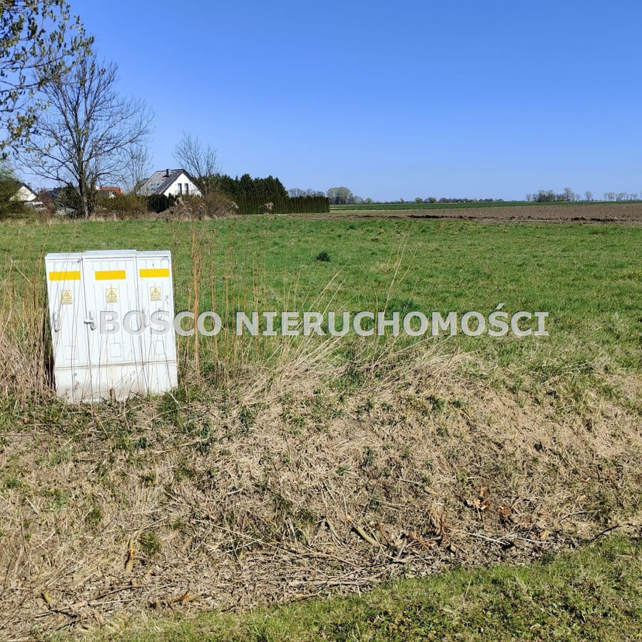 gratka-BOS-GS-5561 - Widok 2