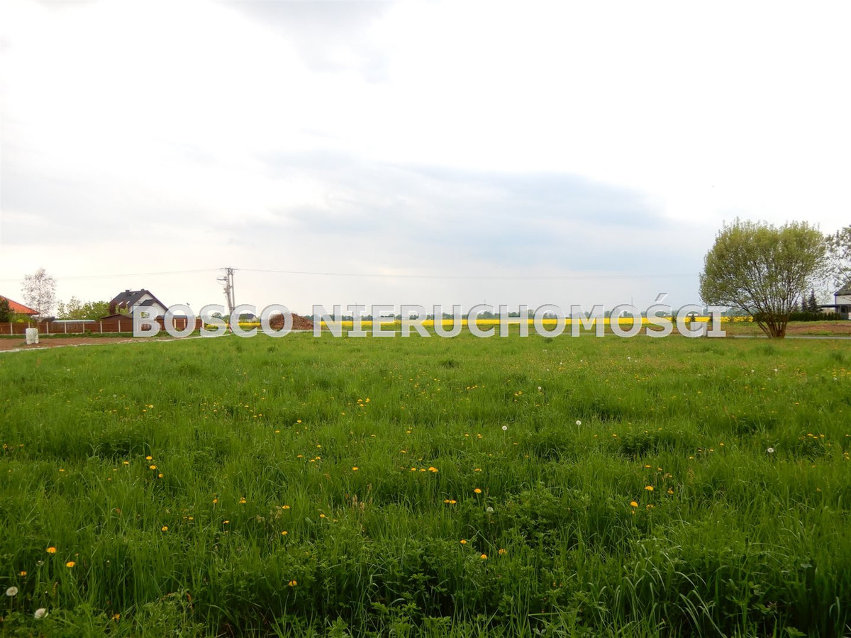 gratka-BOS-GS-5561 - Widok 5