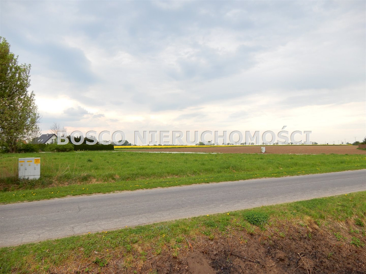 gratka-BOS-GS-5561 - Widok 4