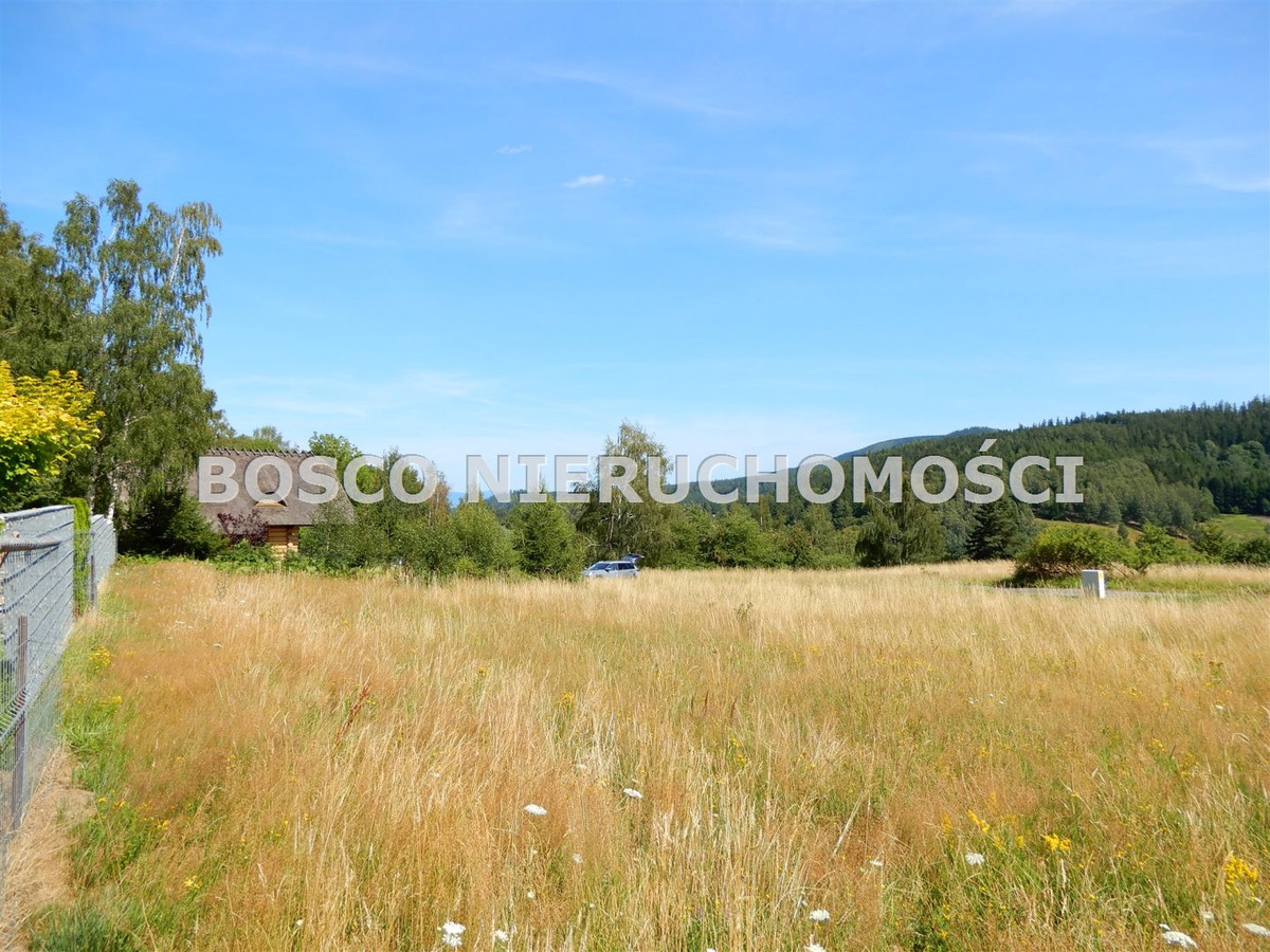 gratka-BOS-GS-5674 - Widok 4
