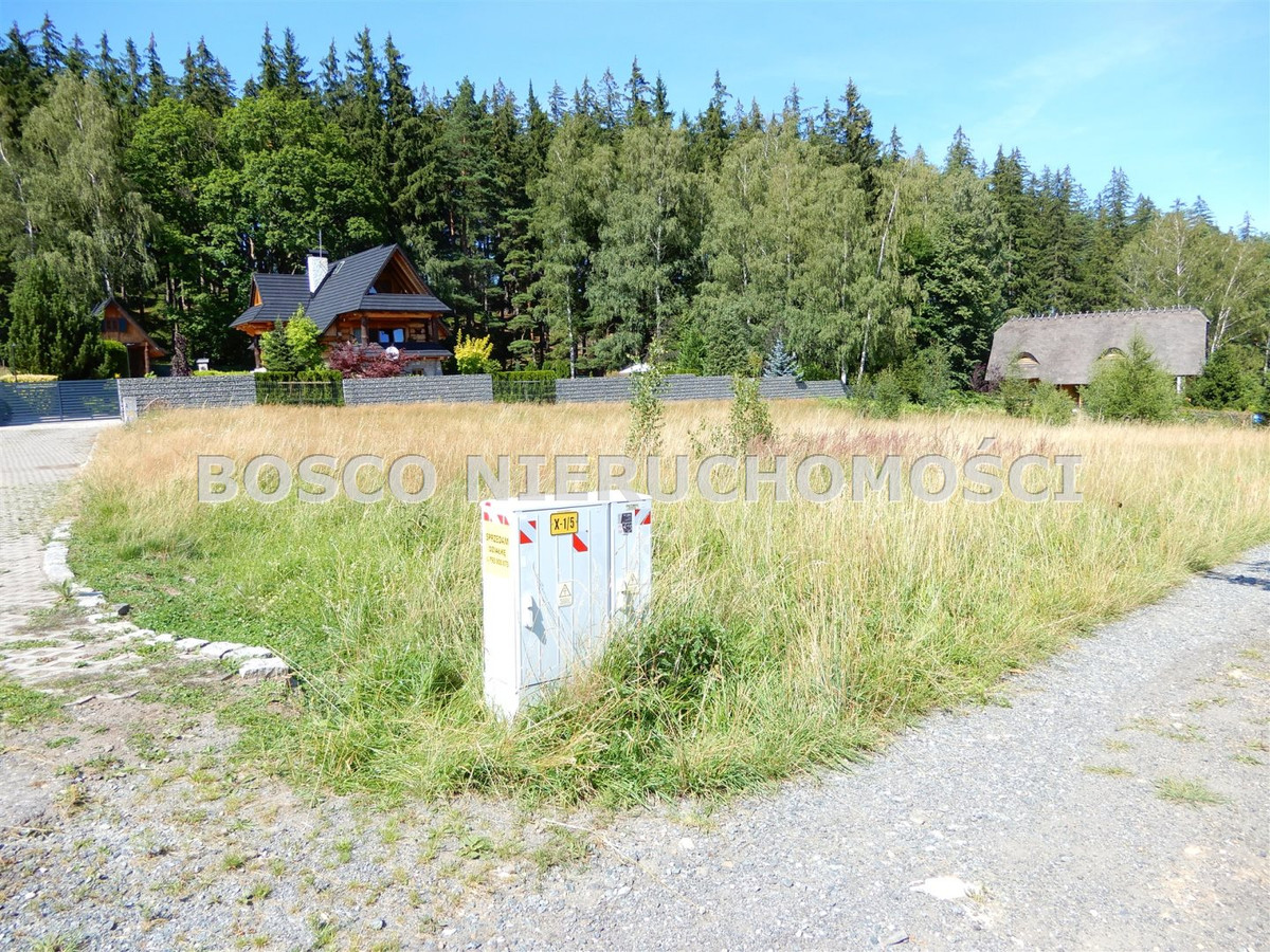 gratka-BOS-GS-5674 - Widok 2