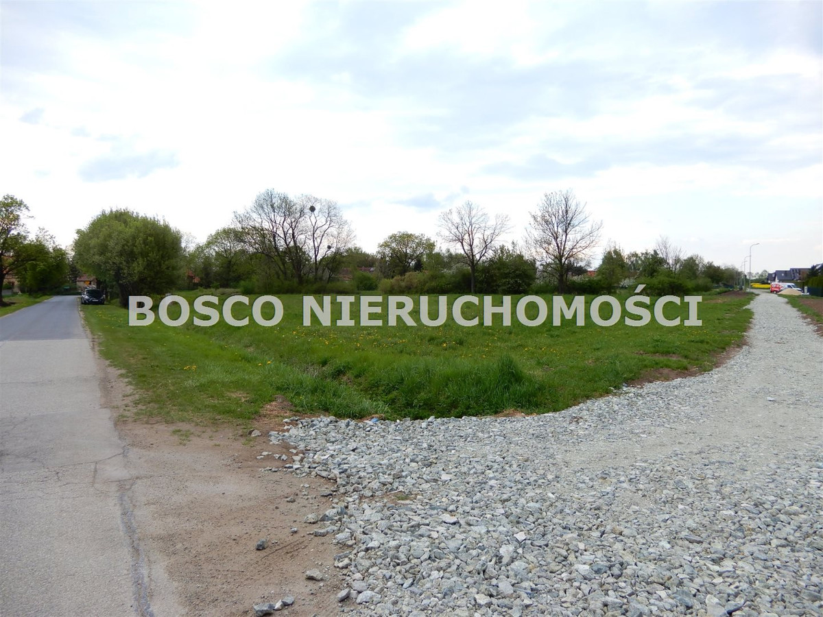 gratka-BOS-GS-5561 - Widok 3