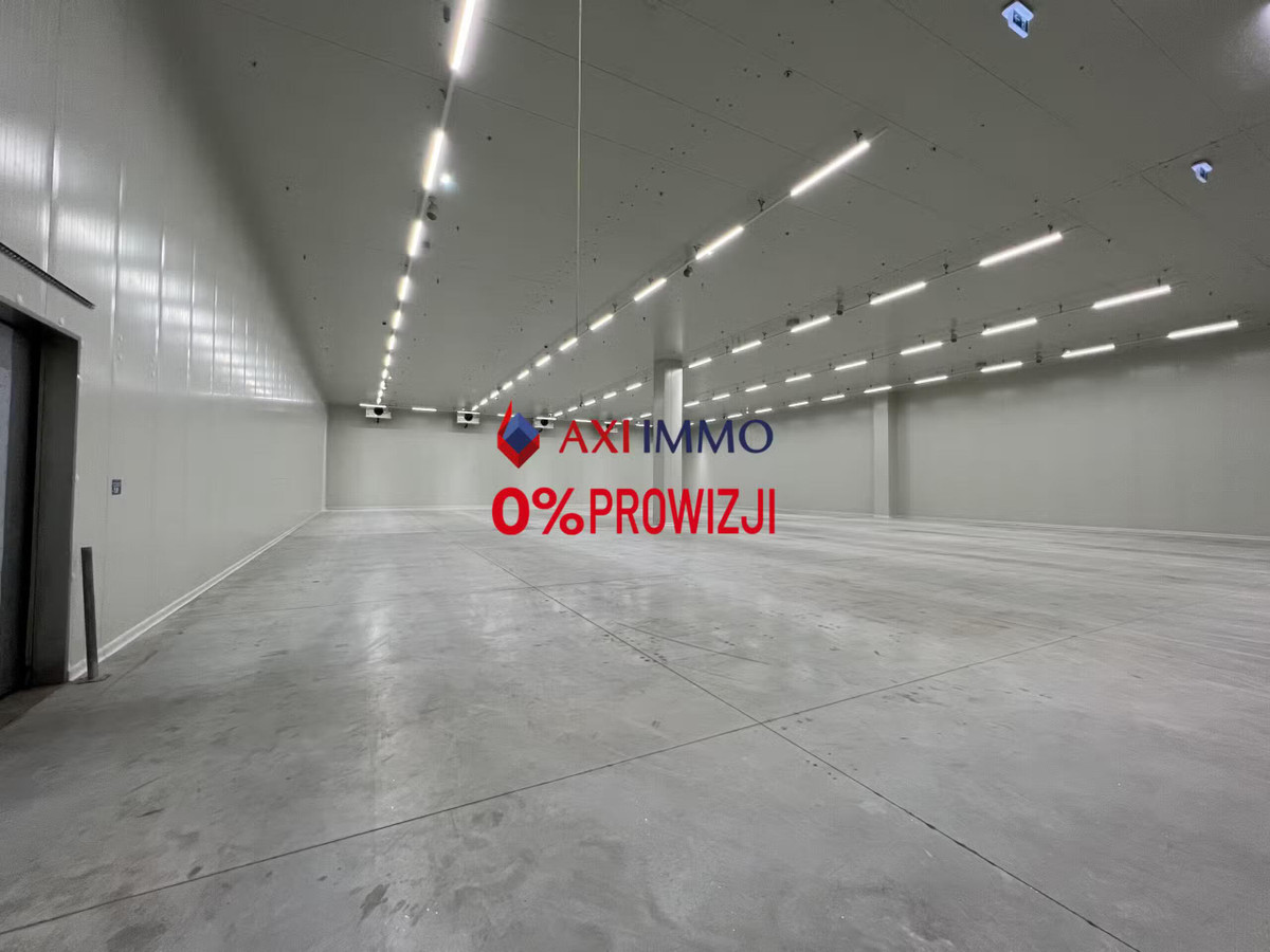 Magazyn z mroźnią i chłodnią od zaraz - na południe Łodzi - Widok 4