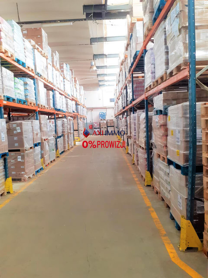 Hala produkcyjno – magazynowa Teofilów Bałuty 2700 mkw - Widok 4