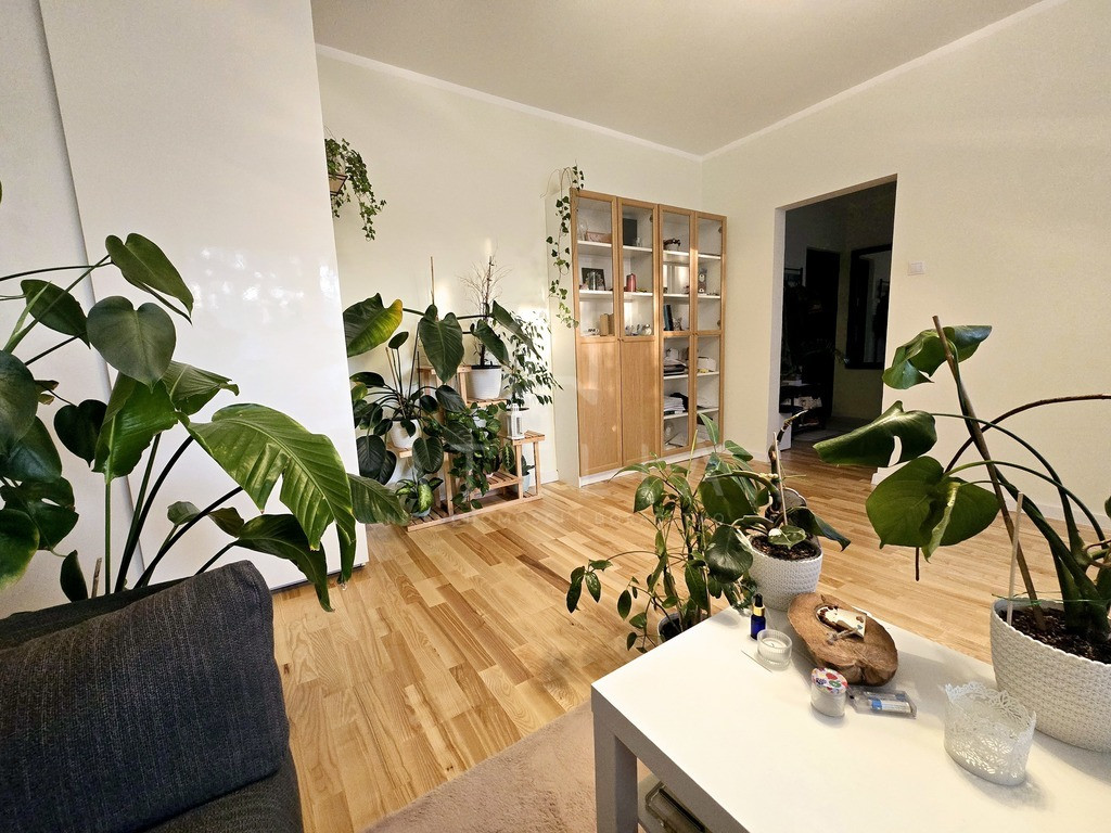 Słoneczne, jasne mieszkanie 49.5 m² Różowa-Bukowe - Widok 5