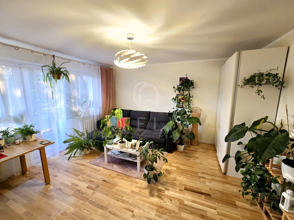 Słoneczne, jasne mieszkanie 49.5 m² Różowa-Bukowe - Widok 2