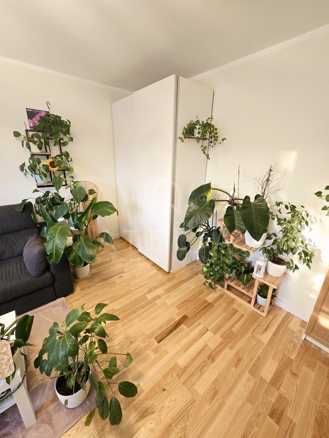 Słoneczne, jasne mieszkanie 49.5 m² Różowa-Bukowe - Widok 3