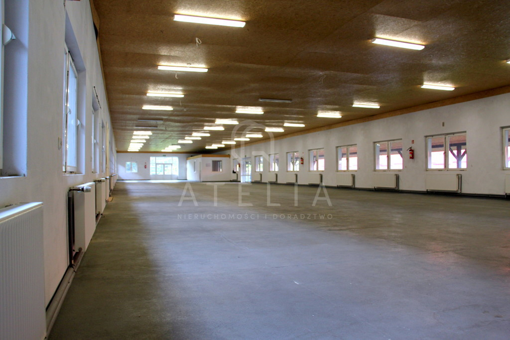 Do wynajęcia hala 650 m² - Widok 2
