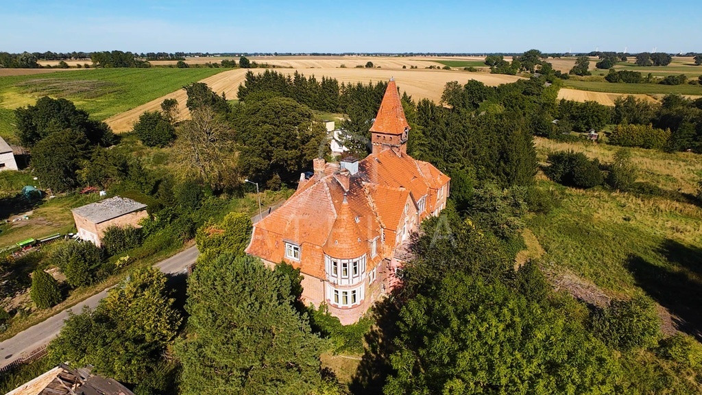 Dom – Pyrzyce, Czernice - Widok 4