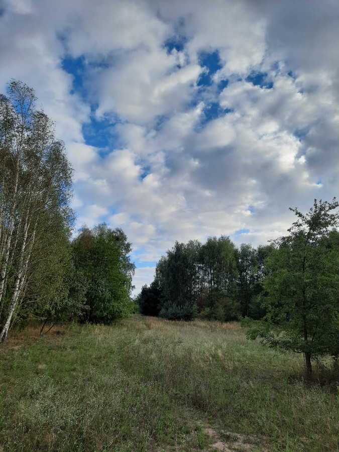 własność z KW - Widok 5