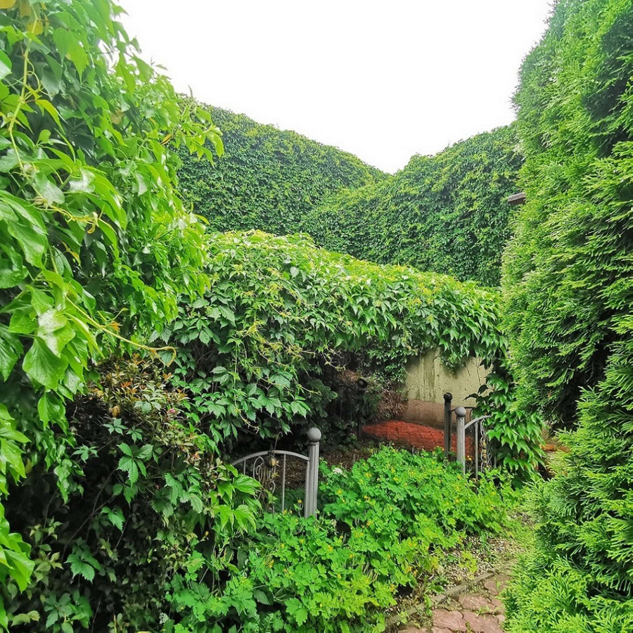 Dom z dużą piwnicą i garaż- Złotów - Widok 4
