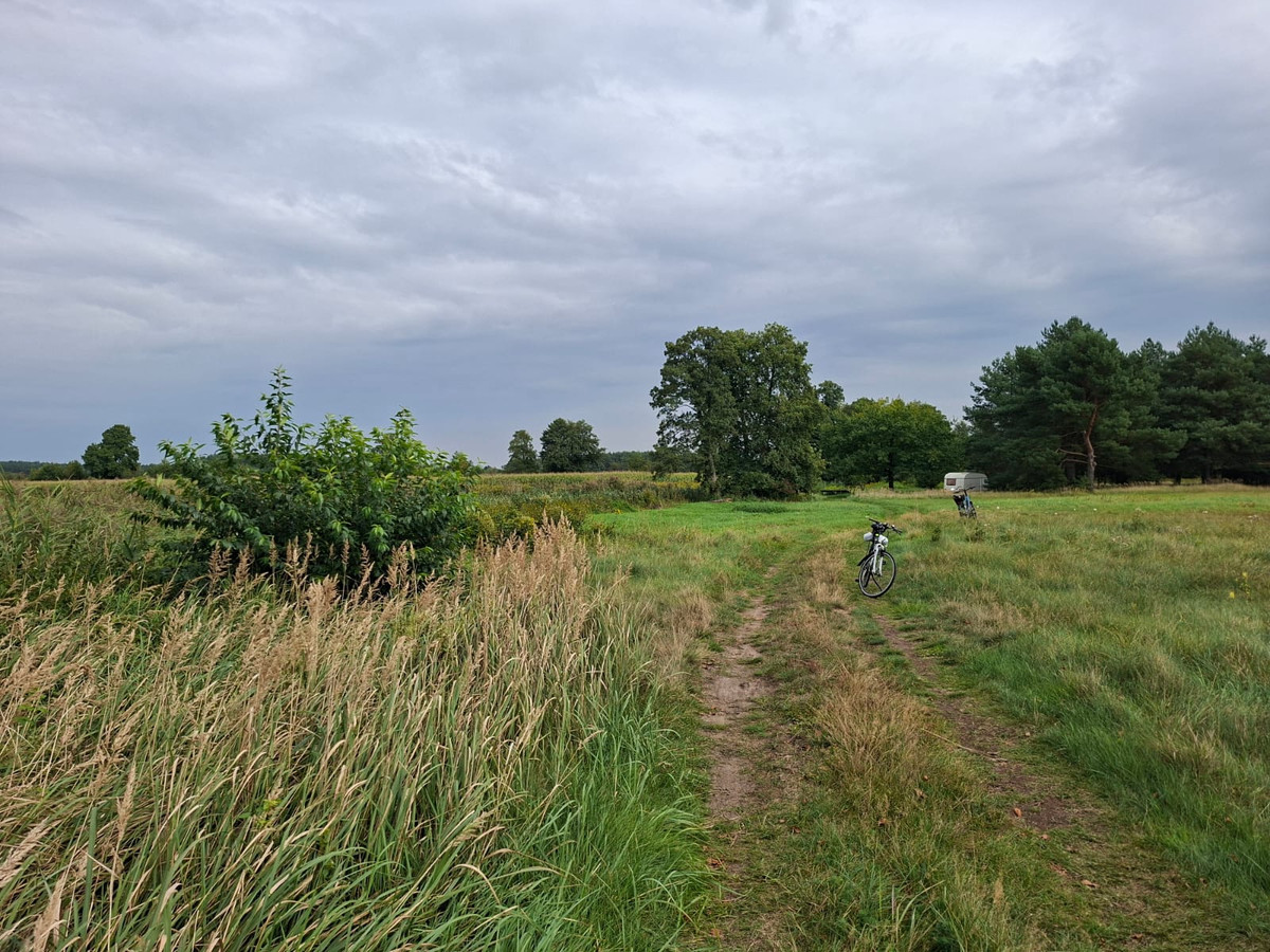 Łąka nad Baryczą - Widok 3