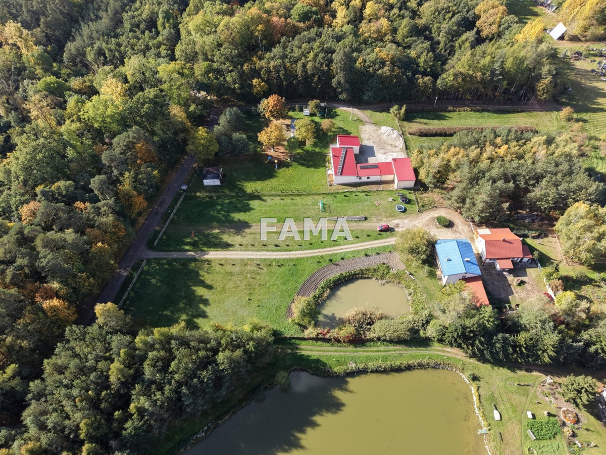 Działka 1802 m², blisko jez. Lutobórz, las, asfalt - Widok 5