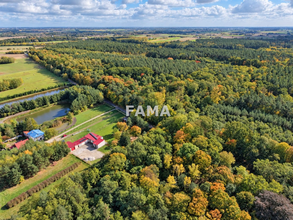Działka 1802 m², blisko jez. Lutobórz, las, asfalt - Więcej
