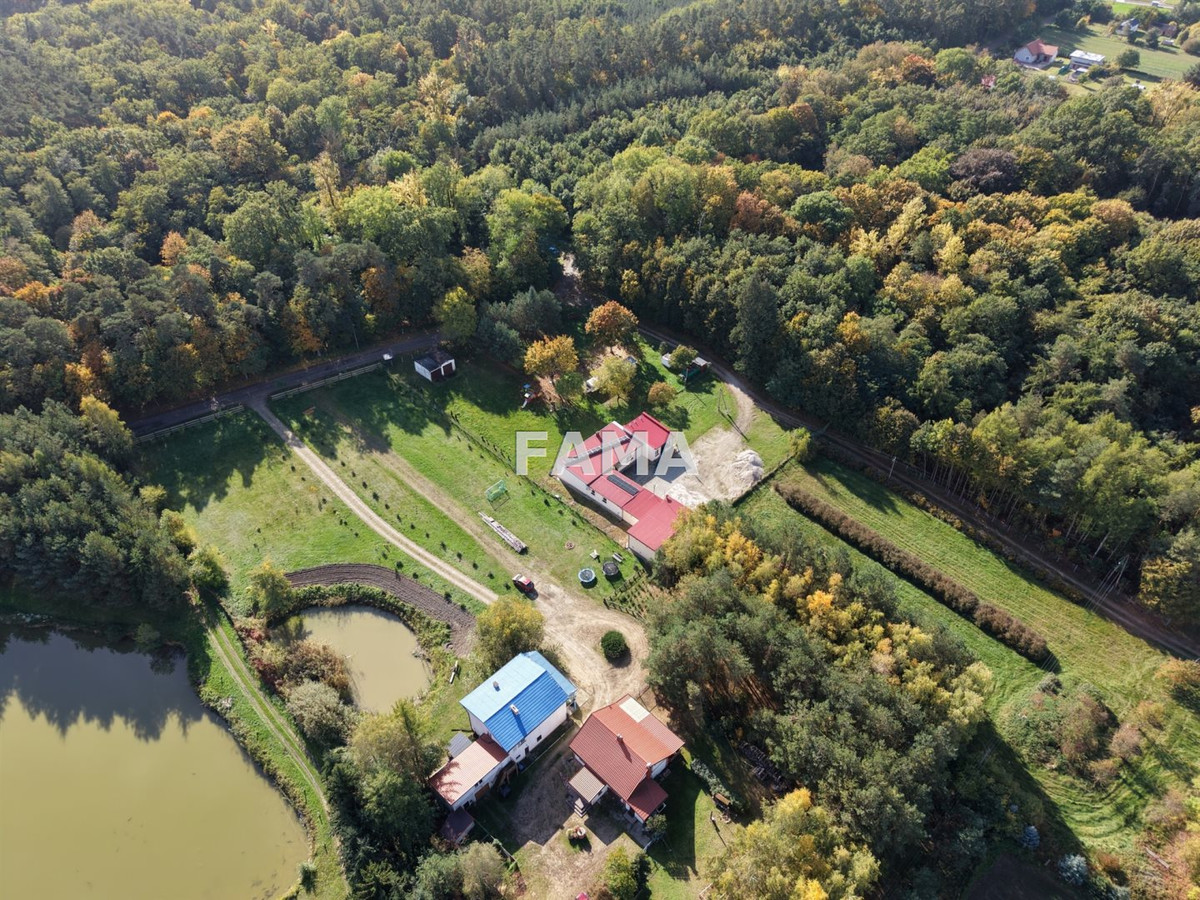 Działka 1802 m², blisko jez. Lutobórz, las, asfalt - Widok 4