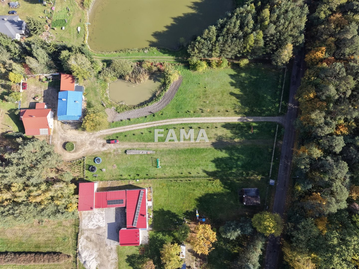 Działka 1802 m², blisko jez. Lutobórz, las, asfalt - Widok 3